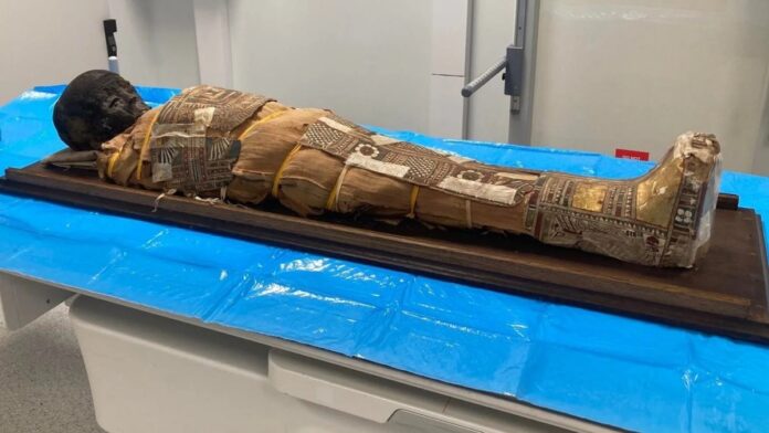 646e3f2f-1a56-445e-aab3-07e029907b8f