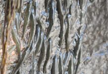 Tiny Fish Conquer 50-Foot Waterfall Using Microscopic Hooks