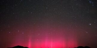 Oude poëzie en boomringen: het blootleggen van een enorme zonnestorm uit de 13e eeuw