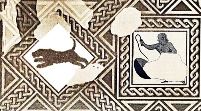 Втрачена Мозаїка Виявила Перше Зображення Жінки-Гладіатора, Що Полює на Звірів