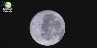 Más allá del amerizaje: los grandes riesgos y los dilemas morales del programa Artemis de la NASA