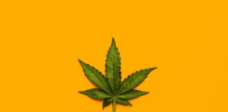The Science Gap: What We Actually Know About Medical Marijuana’s Health Effects