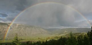 De gids voor 2026 om uw Yellowstone-reis niet te verpesten