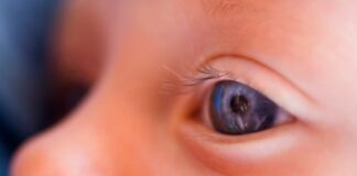 From Darkness to Light: How One Gene Therapy Restored Vision and Revolutionized Medicine