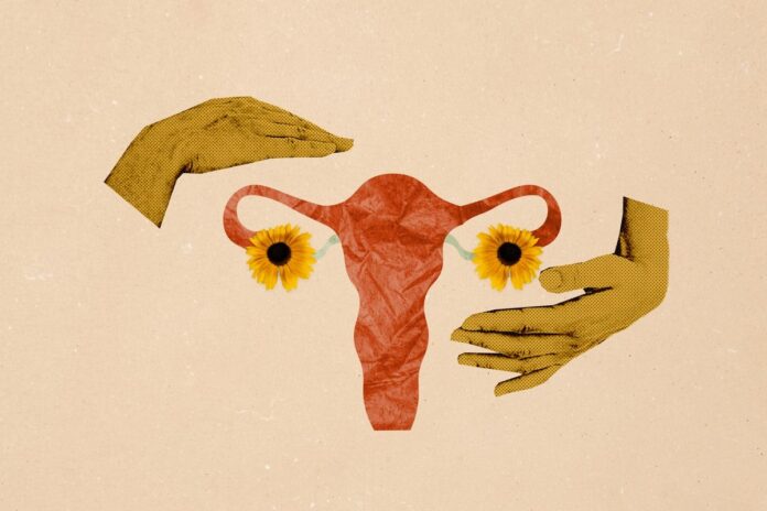 06aa285a-90bd-4c22-bb58-39514f93fa4a