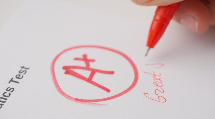 The Feedback Loop