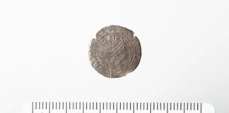 Moneda del rey vikingo disfrazada de botón