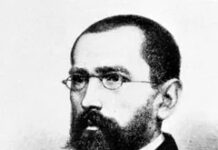 Як теорія «мовного дерева» Августа Шлейхера змінила лінгвістику