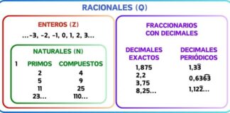 ¿Qué son los números racionales y cómo identificarlos rápidamente?