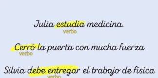 Como funcionam as frases simples: dominando predicados únicos na gramática espanhola